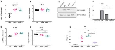 Extracellular Vesicles Secreted by TDO2-Augmented Fibroblasts Regulate Pro-inflammatory Response in Macrophages